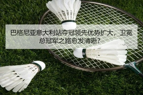 ba-ge-ni-ya-yi-da-li-zhan-duo-guan-ling-xian-you-shi-kuo-da-wei-mian-zong-guan-jun-zhi-lu-yu-fa-qing-xi-2-809.jpg