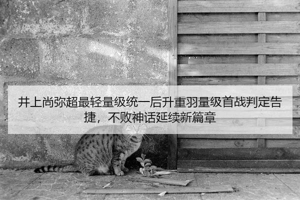 井上尚弥超最轻量级统一后升重羽量级首战判定告捷，不败神话延续新篇章